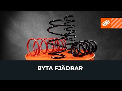 Hur man byter spiralfjäder [AUTODOC-LEKTION]