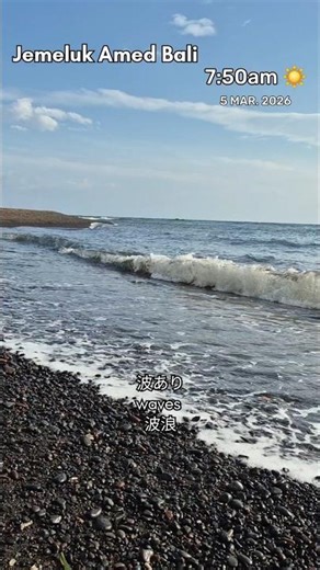#amed #bali #sea #朝の海 #アメッド #バリ島 #ビーチ #海の動画 #海 #beach #morning #朝日 #波 #sunrise #wavy #shorts #waves