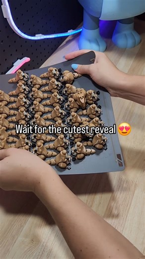 Printopia on Instagram: "From plate to click to wiggle ✨ ⚠️ Market update: Medowie market has been cancelled, so you can now find us at the 📍 Tanilba Bay Market 🕗 8am – 12pm today Come say hi and see these in person! 💛"