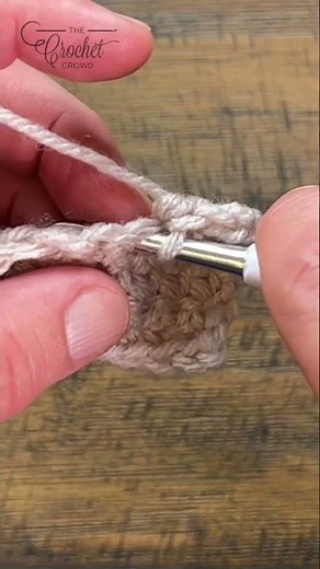 2 Single Crochet in Same Stitch Shell 🧶 #singlecrochet #crochetstitches #shorts