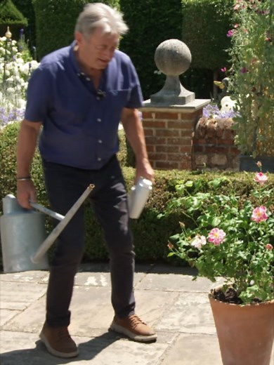 How to Feed Container Plants Correctly: Water First, Then Feed