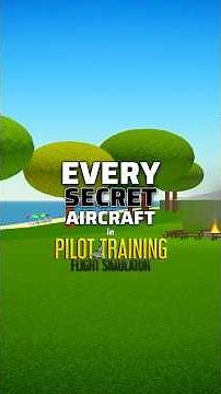 PTFS | How To Get Every SECRET Aircraft