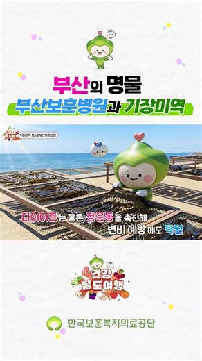 건강팔도여행 ep.5_기장미역&부산보훈병원 편