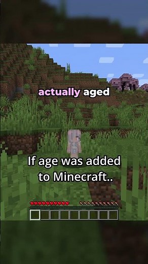 What if AGE was Added to Minecraft