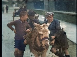 679K views · 10K reactions | And back to 1929 Killarney again, with some likely lads, one leaning against a cart Various donkeys and carts loaded with turf Town scenes I think the shop/pubfronts are O'Callaghan, O'Leary and Cronin Movietone © University of South Carolina Libraries (8/9) #DeOldify #Photoshop #AdobeAE | Old Ireland in Colour | Facebook