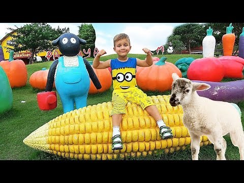Roma and Diana Animals for kids