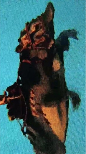 Ark Survival Evolved: Maewing Swimming On Lost Island 🏝 👌 #animals #nature #arksurvival