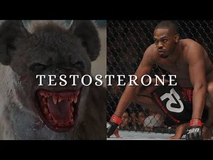 TESTOSTERONE