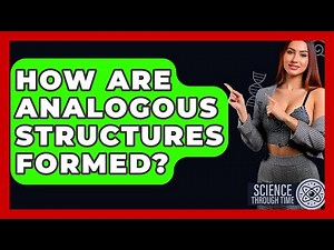 How Are Analogous Structures Formed? - Science Through Time
