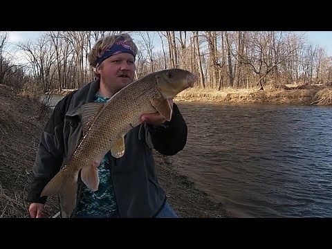 Rifle River Sucker Fishing- The 2020 Smackdown