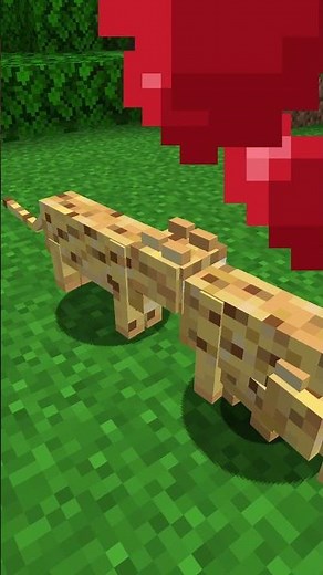 What Do OCELOTS Actually Do?! #minecraft #survival