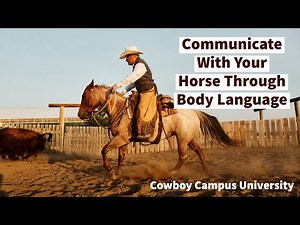 The Riding Positions For Communicating To Your Horse Through Body Language