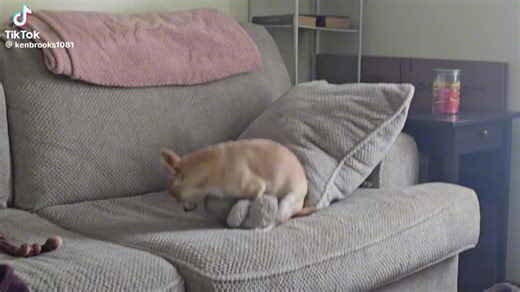 Finster (@finster850)’s videos with original sound - Finster