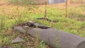 Bones can be seen through grave sites at Historic Black Houston cemetery, no one knows who owns the land