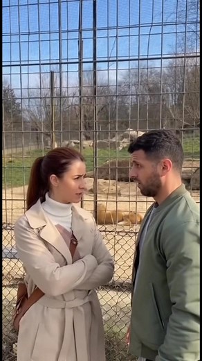 Idem kod lava sad cu mu kožu odrat 🤣🤣🤣 | Klipomanija