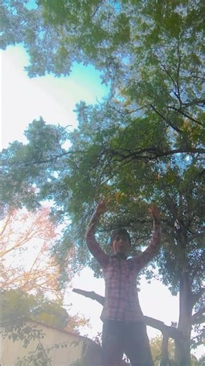 #bts_official_bighit