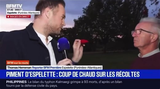 Découverte des piments : Douceur et piquant unis