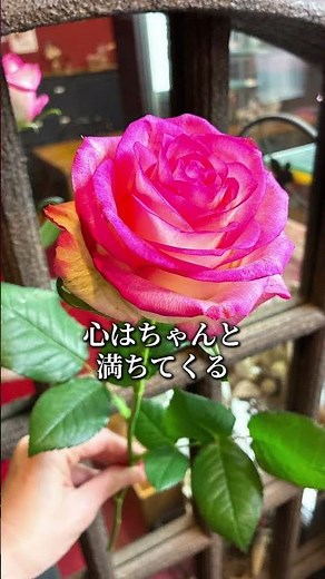 不平や不満が出てきたら、とにかく沢山「ありがとう」を🙏 #感謝#ありがとう#花言葉