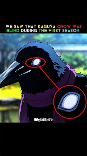 kaguya s crow s eyes secret 🤫 💀 #kimetsunoyaiba #anime #animeedit #kny #demonslayer #demonslayeredit