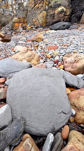 We searched a remote beach for fossils and crystal and found a Jurassic Age ball of rock hidden within a huge loose boulder and opened it up with our trusty hammer 🤯 We found White Calcite Crystal inside! What a treasure! 🏝️ You win some, you lose some! 🌅🦕 Thanks for supporting our page! 🐊 #fossilhunting #crystal #ammonite #beachcombing #fblifestyle | Yorkshire Fossils