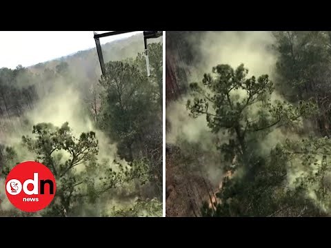 Irritating! Huge pollen wave stirred up by helicopter in Georgia