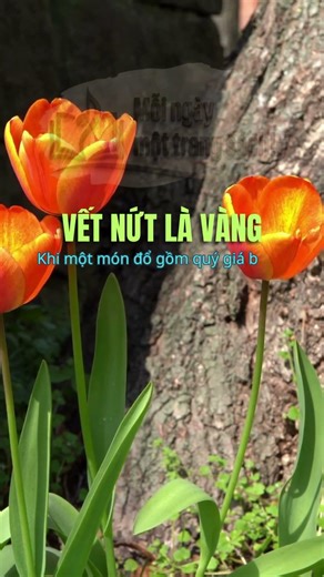 Đừng giấu VẾT SẸO, hãy để nó TỎA SÁNG ✨ #shorts