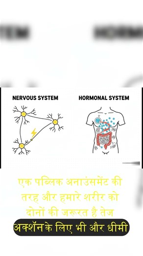 The Surprising Truth About Control Systems Nobody Tells You