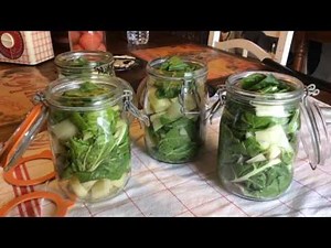 CONSERVES de BLETTES au NATUREL - En direct du potager -