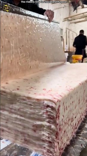 Making Paper From Tree Pulp 🌳 #shorts #shortsvideo #trending #facts #paper ‪@FactoHolic‬