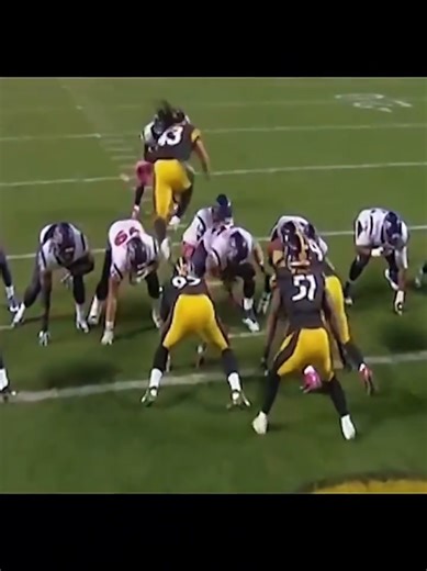 Troy Polamalu: The Tasmanian Devil of NFL History