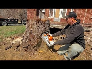 #135 Cutting Firewood : Redneck Stump Removal