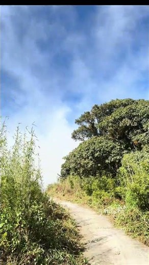 Probox succeed transport