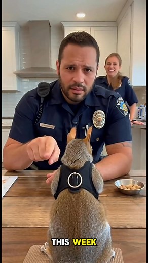 Funny Squirrel Gets Away With Mischief! 😹🐾 Who’s the real boss here? 😹 Scarly the squirrel vs officer — hilarity ensues! 🐿️💥 # #reelsviralシ #reelsfbシ #trend #trendingnow #TrendingNow2025 #squirrel #funnysquirrel #FunnyPets #ViralVideo #AnimalComedy | Mr Trueverse