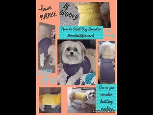 Knit Dog Sweater | Grafting | #crochetitforward #circularknittingmachine #sentro #shortvideo #addi