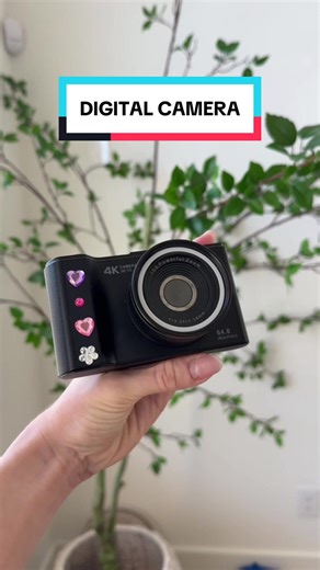 The Best Digital Camera for Vlogging