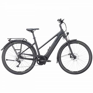 Pegasus Premio EVO 10 750 Lite E-Bike Trekkingrad Trapez 28" schwarz | Zweirad Stadler