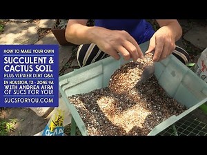 How to make your own succulent and cactus soil (and FAQs)