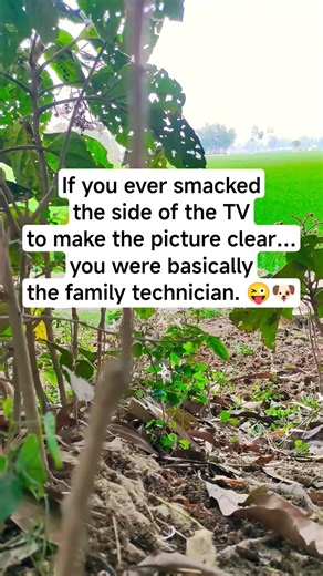 Old School TV Repair Skills 🤯🫣 #funny #relatable #shorts #genx