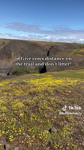 Hiking Phantom Falls Loop in Northern California Guide