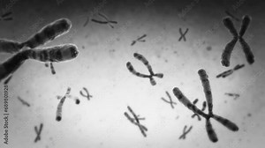 Animation of Encoded Genetic Code, Microscopic Chromosomes Floating. Loopable. DNA.