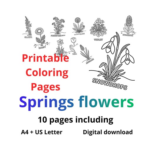 Spring Flowers Coloring Pages Printable Kids Adult Relaxing Activity A4 Usletter - Etsy