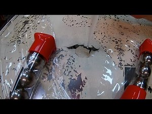 Pinballorama #15 - Fixing severe pinball backglass flaking