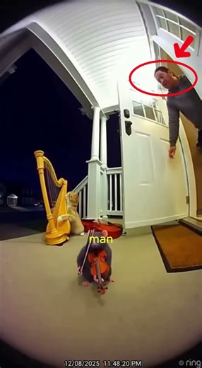 surprise at end #shorts