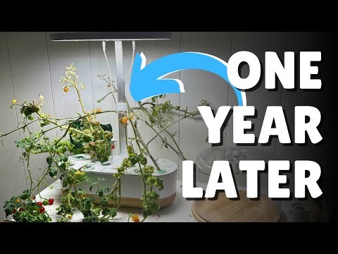 ONE YEAR REVIEW! inbloom Hydroponics Growing System