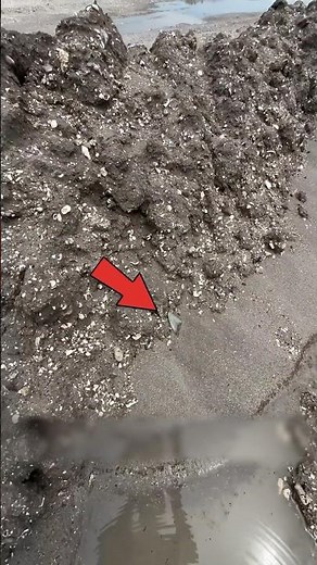 Nunca pases de esto. Podría ser un tesoro