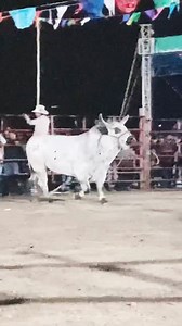 GUERRERO AZTECA 🆚 LÁGRIMAS AL SUELO | Beto Martinez