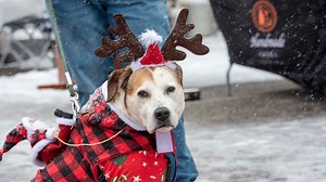What will the weather look like on Christmas? Is snow in the forecast?