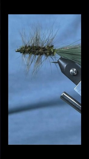 Creek Fish Magnet — quick tutorial to tie the classic Wooly Bugger fly 🎣🐟 #fishing