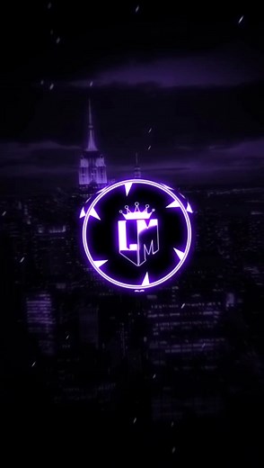 Stereo Love Music Remix