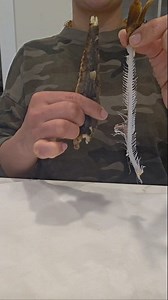 Hooligan Trick 🐟 Eat the Fish — No Bones! #Alaska #hooligans #candlefish #fish #smeltfish #fisherwomanlife #yummyfood #season #vibes #deshkalanding #willowalaska #мойва #рыба #вкусно #fypシ #reels #videoviral #lovefishing #рыбачка | Love Alaska Life